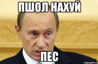 пшол нахуй пес