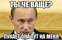 ТЫ че ваще? Пукает она тут на меня