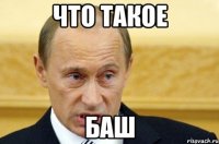 что такое баш