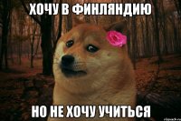 хочу в финляндию но не хочу учиться