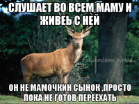 слушает во всем маму и живеь с ней он не мамочкин сынок ,просто пока не готов переехать
