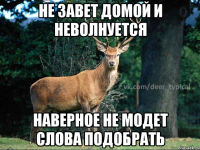не завет домой и неволнуется наверное не модет слова подобрать