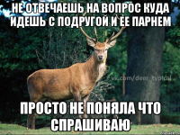 Не отвечаешь на вопрос куда идешь с подругой и ее парнем Просто не поняла что спрашиваю