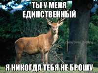 ты у меня единственный я никогда тебя не брошу