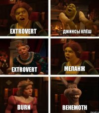 Extrovert Extrovert Burn Джинсы Клёш Меланж Behemoth