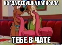 КОГДА ДЕВУШКА НАПИСАЛА ТЕБЕ В ЧАТЕ