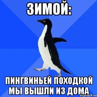 Зимой: пингвиньей походкой мы вышли из дома