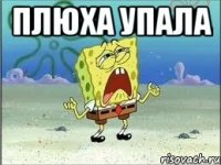 Плюха упала 