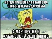 Когда пришёл на остановку, чтобы доехать до учёбы А маршрутки в Хабаровске ездят мимо