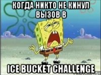 Когда никто не кинул вызов в Ice Bucket Challenge