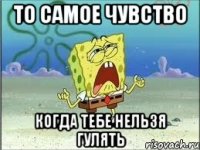 То самое чувство Когда тебе нельзя гулять