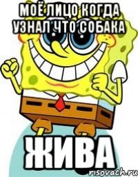 моё лицо когда узнал что собака жива