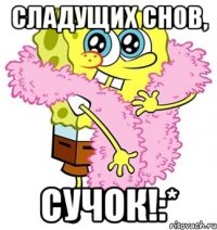 Сладущих снов, Сучок!:*