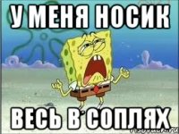 У меня носик весь в соплях