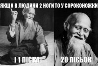 якщо в людини 2 ноги і 1 піска то у сороконожки 20 пісьок