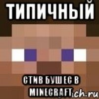 Типичный Стив Бушес в Minecraft