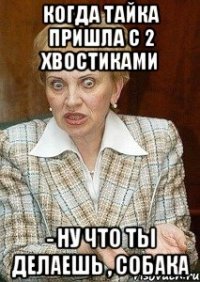 когда Тайка пришла с 2 хвостиками - ну что ты делаешь , собака