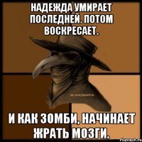 Надежда умирает последней. Потом воскресает. И как зомби, начинает жрать мозги.