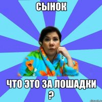 Сынок Что это за лошадки ?