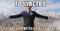 то чувство когда сбрутил CS:GO, RUST и DAYZ