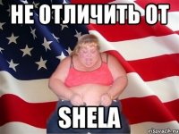 Не отличить от shela