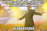 Начинать свой день с хорового кошачьего мурчания великолепно