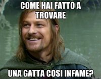 Come hai fatto a trovare Una gatta cosi infame?