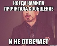 когда камила прочитала сообщение и не отвечает