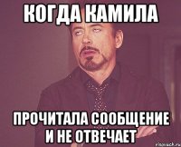 когда камила прочитала сообщение и не отвечает