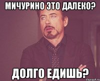 Мичурино это далеко? Долго едишь?