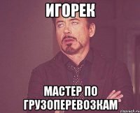 Игорек Мастер по грузоперевозкам