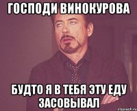 Господи Винокурова Будто я в тебя эту еду засовывал