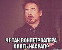  Че так воняет?Валера опять насрал?