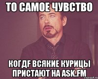 То самое чувство когдf всякие курицы пристают на ask.fm