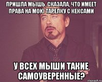 Пришла мышь, сказала, что имеет права на мою тарелку с кексами У всех мыши такие самоуверенные?