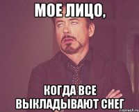 МОЕ ЛИЦО, КОГДА ВСЕ ВЫКЛАДЫВАЮТ СНЕГ