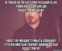 В глаза не лезут? расчесывать не тяжело? Егор, когда подстрижешся? Хвост не мешает? мыть удобно? что лохматый такой? Давай я тебя подстригу?