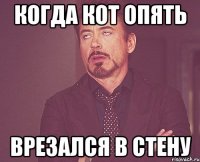 КОГДА КОТ ОПЯТЬ ВРЕЗАЛСЯ В СТЕНУ