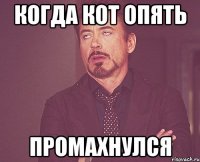 КОГДА КОТ ОПЯТЬ ПРОМАХНУЛСЯ