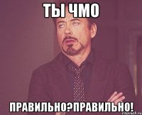 ты чмо правильно?правильно!