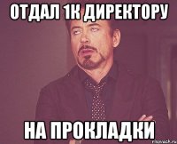 Отдал 1к директору на прокладки