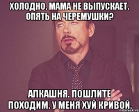 Холодно. Мама не выпускает. Опять на Черемушки? Алкашня. Пошлите походим. У меня хуй кривой.