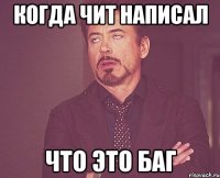 Когда чит написал что это баг