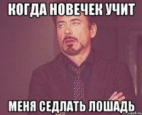 когда новечек учит меня седлать лошадь