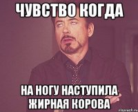 Чувство когда На ногу наступила жирная корова