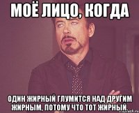 Моё лицо, когда один жирный глумится над другим жирным, потому что тот жирный.