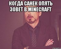 Когда санек опять зовет в minecraft 