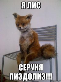 я Лис Серуня пиздолиз!!!