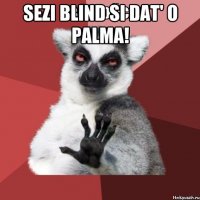 Sezi blind si dat' o palma! 