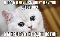 Когда девушка ищет другую девушку в мире грустит один котик